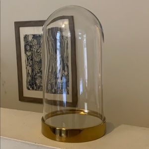Glass display Dome Cloche with Brass Base